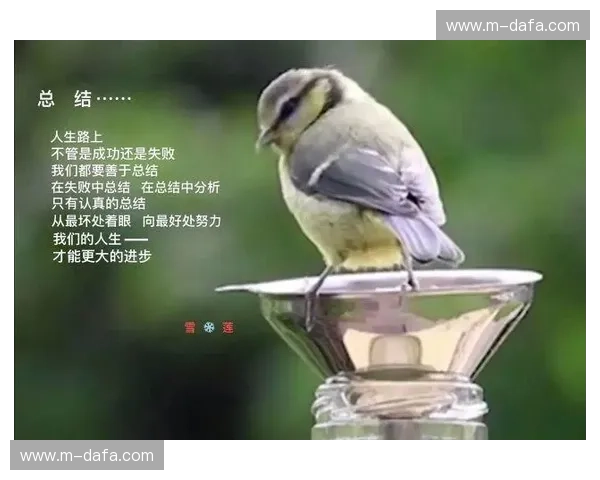 战绩频道免费：让你的努力被看见的秘密入口